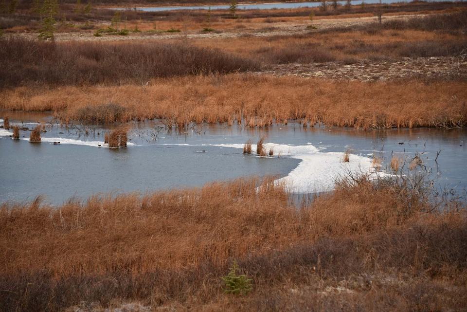 Churchill Manitoba Oct 2023 18
